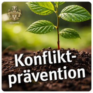 Konfliktprävention / Konfliktmanagement, bevor es eskaliert. Konfliktprävention & Kommunikationsklarheit in Führungskreisen. Konflikt- und Entscheidungsroutinen (Governance). Begleitung von Integration / Übernahme / M&A-Nachwirkungen
