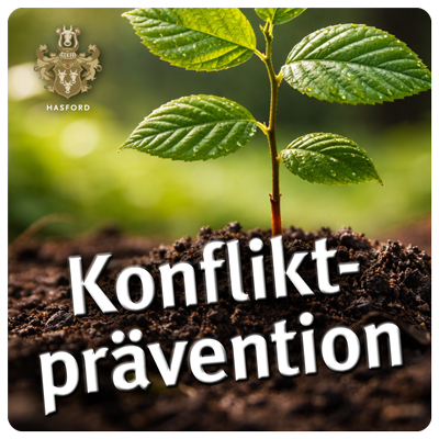 Konfliktprävention / Konfliktmanagement, bevor es eskaliert. Konfliktprävention & Kommunikationsklarheit in Führungskreisen. Konflikt- und Entscheidungsroutinen (Governance). Begleitung von Integration / Übernahme / M&A-Nachwirkungen